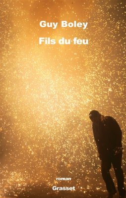 Couverture de Fils du feu