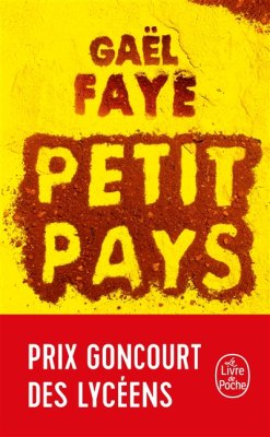 Couverture de Petit pays
