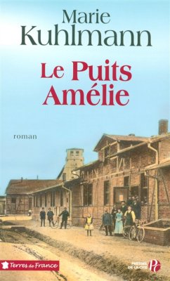 Couverture de Le puits Amélie