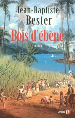 Couverture de Bois d'ébène