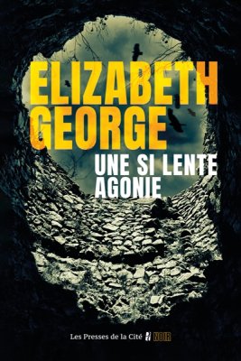 Couverture de Une si longue agonie
