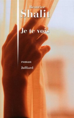 Couverture de Je te vois