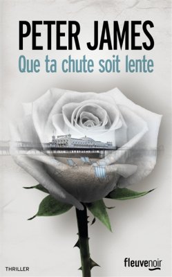 Couverture de Que ta chute soit lente