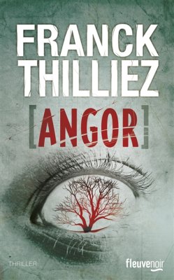 Couverture de Angor