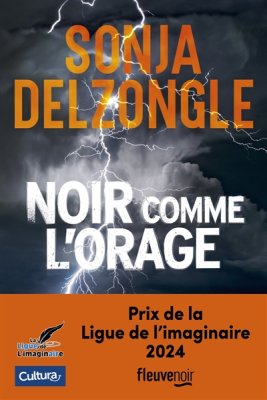 Couverture de Noir comme l'orage
