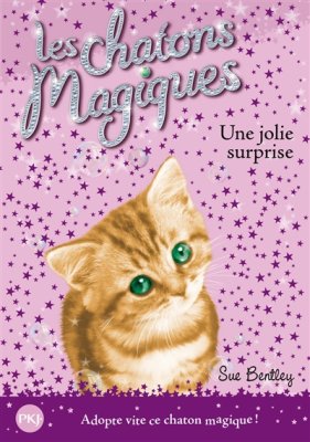 Couverture de Une jolie surprise