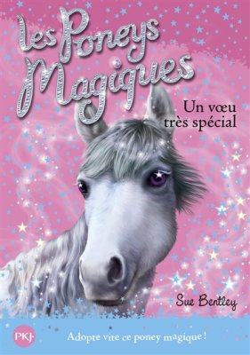 Couverture de Un voeu très spécial