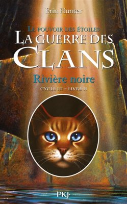 Couverture de Rivière noire