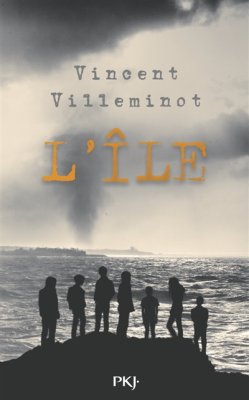 Couverture de L'île