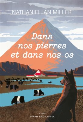 Couverture de Dans nos pierres et dans nos os