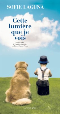Couverture de Cette lumière que je vois