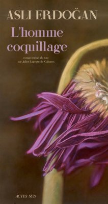 Couverture de L'homme coquillage
