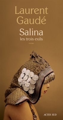 Couverture de Salina