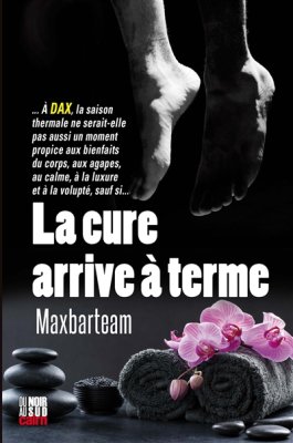 Couverture de La cure arrive à terme