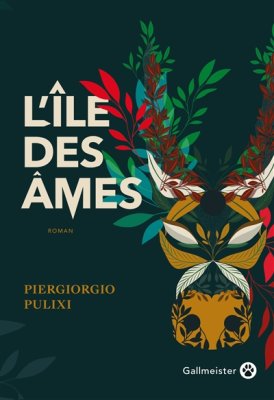 Couverture de L'île des âmes