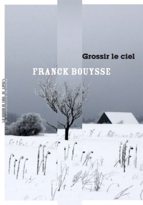 Couverture de Grossir le ciel