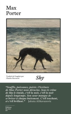 Couverture de Shy