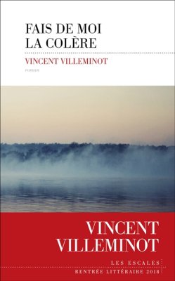 Couverture de Fais de moi la colère