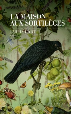 Couverture de La maison aux sortilèges