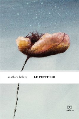 Couverture de Le petit roi