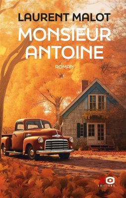 Couverture de Monsieur Antoine