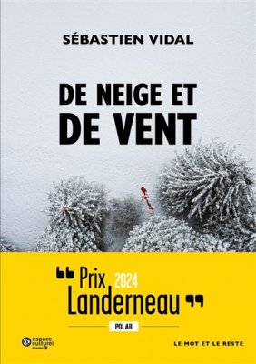 Couverture de De neige et de vent