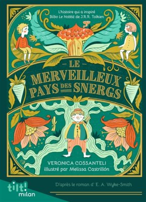 Couverture de Le merveilleux pays des Snergs