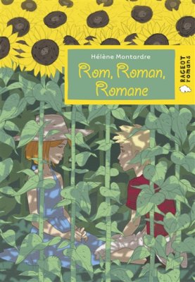 Couverture de Rom, Roman, Romane