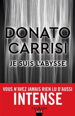 Couverture de Je suis l'abysse