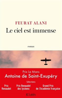 Couverture de Le ciel est immense