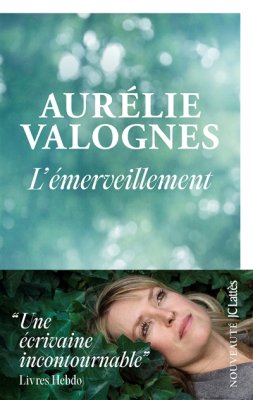 Couverture de L'émerveillement