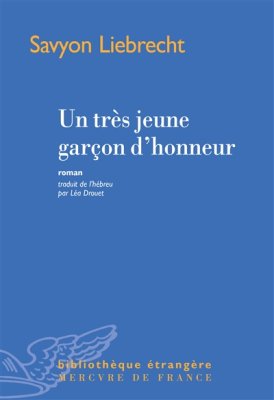 Couverture de Bronx amer: Treize nouvelles