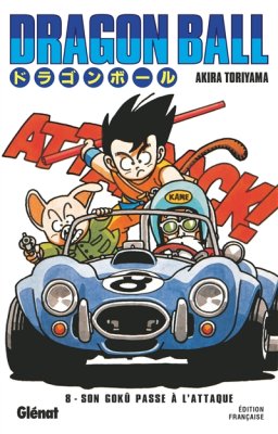 Couverture de Le duel