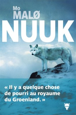 Couverture de Nuuk