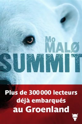 Couverture de Summit