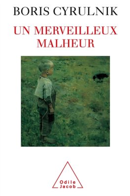 Couverture de Un merveilleux malheur