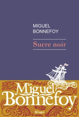 Couverture de Sucre noir