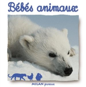 Couverture de Bébés animaux