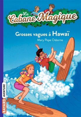 Couverture de Grosses vagues à Hawaï