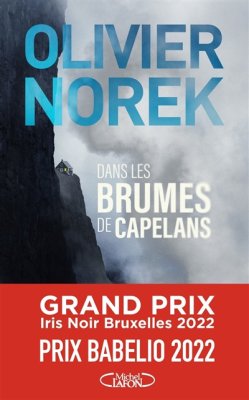 Couverture de Dans les brumes de Capelans