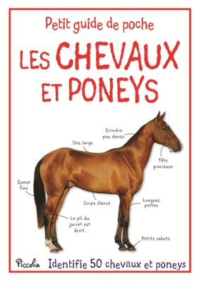 Couverture de Les chevaux et poneys