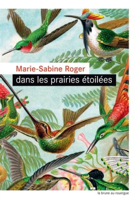 Couverture de Dans les prairies étoilées
