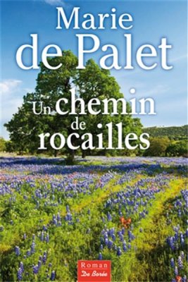 Couverture de Un chemin de rocailles