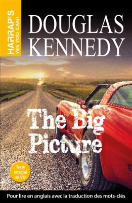 Couverture de The big picture