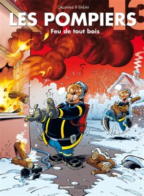 Couverture de Feu de tout bois