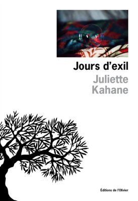 Couverture de Jours d'exil