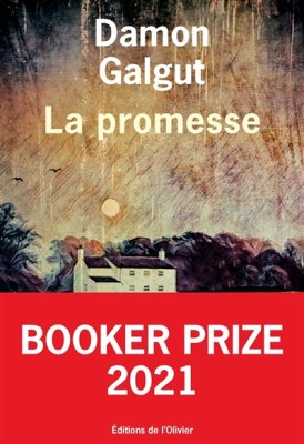 Couverture de La promesse