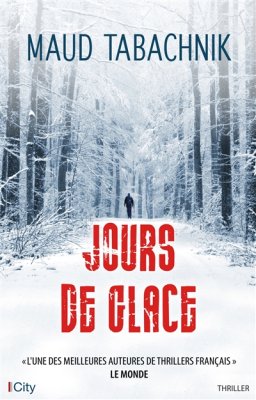 Couverture de Jours de glace