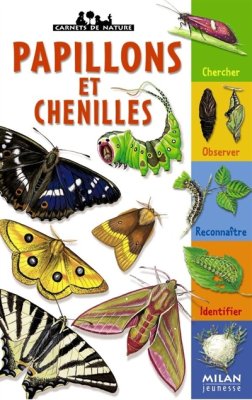 Couverture de Papillons et chenilles