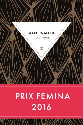Couverture de Le Garçon